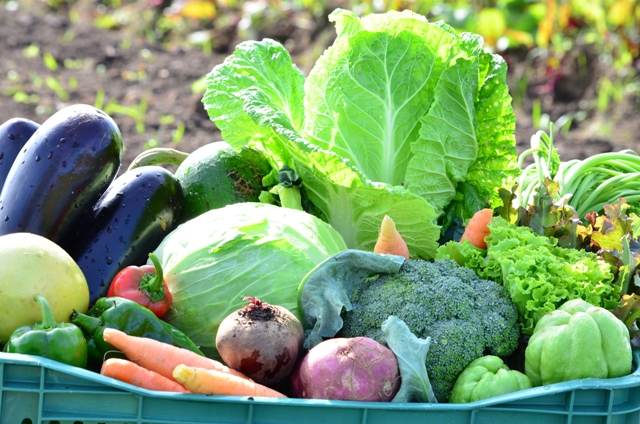 Leia mais sobre o artigo Alimentação escolar gera R$ 500 mil anuais para agricultores de Blumenau