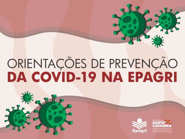 Leia mais sobre o artigo Epagri publica cartilha para orientar funcionários na volta parcial de suas atividades