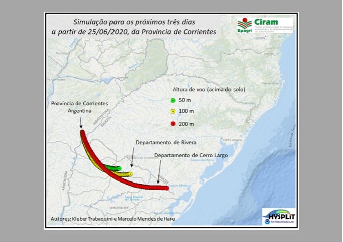 Leia mais sobre o artigo Nuvem de gafanhotos: pesquisadores da Epagri preveem que insetos devem chegar ao Uruguai