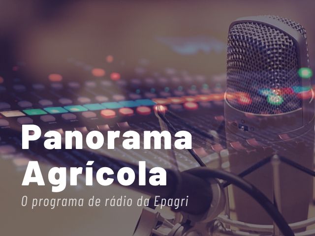 Read more about the article Confira o que vai ser notícia nesta semana na Rádio da Epagri