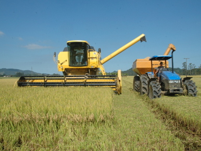 Leia mais sobre o artigo Safra catarinense de arroz se mantém estável em 2021, com produtividade superior no Sul do Estado