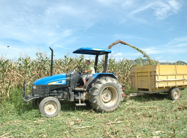 Leia mais sobre o artigo Rádio da Epagri fala sobre Plano Safra, doença da macieira e zoneamento agrícola