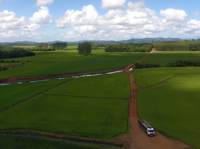 Leia mais sobre o artigo Epagri conclui mapeamento da área de arroz por imagens de satélite