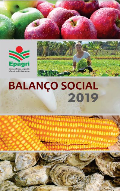 CAPA-BALANÇO-SOCIAL-EPAGRI-2019