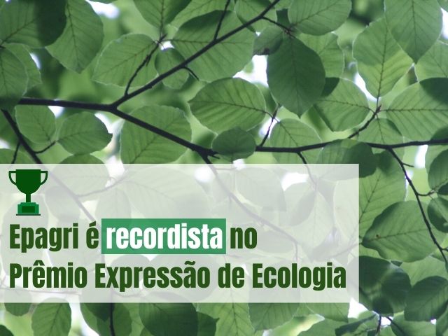 Leia mais sobre o artigo Epagri vence em seis categorias do Prêmio Expressão de Ecologia e se firma como a maior campeã da história da premiação