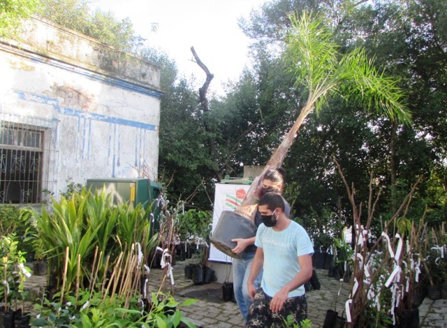 Leia mais sobre o artigo Moradores de São Francisco do Sul recebem mudas de frutíferas e ornamentais