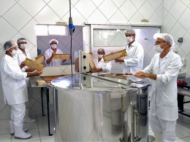 Read more about the article Grupo de Apicultores do Oeste Catarinense vende mais de 90 toneladas de mel em 2020