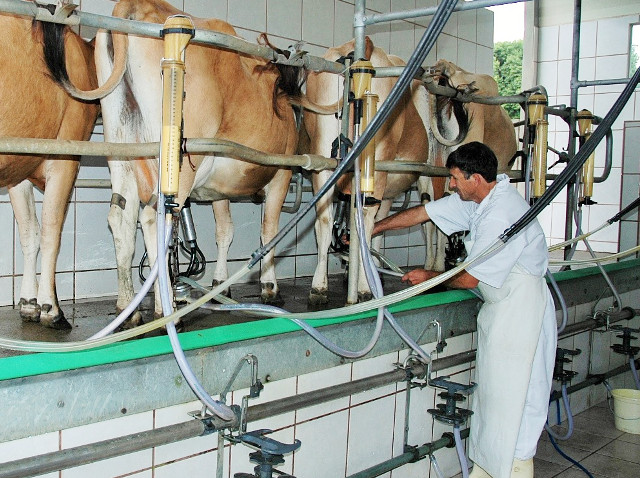 Read more about the article Relação entre oferta e demanda provoca alta no preço pago ao produtor de leite em SC