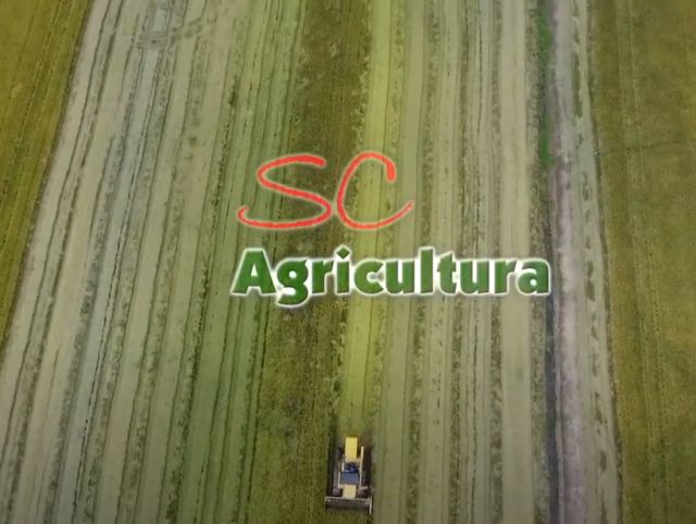 Leia mais sobre o artigo TV da Epagri: terra de diatomáceas, novo arroz, parceria Epagri/Caixa e sítio agroecológico