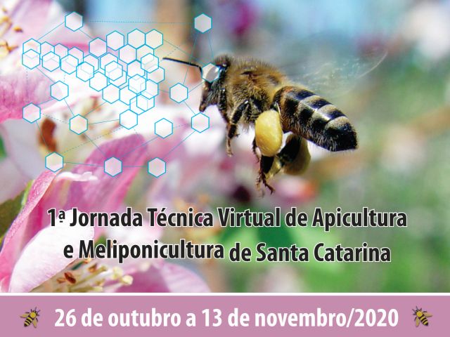 Read more about the article 1ª Jornada Técnica Virtual de Apicultura e Meliponicultura de SC será de 26 de outubro a 13 de novembro