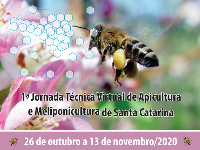 Leia mais sobre o artigo Estratégias de mercado, mel na culinária, legislação e muito mais na Jornada de Apicultura e Meliponicultura desta semana