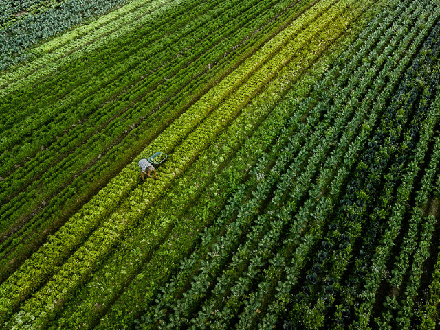 Leia mais sobre o artigo Santa Catarina lança programa de inovação voltado para o agronegócio