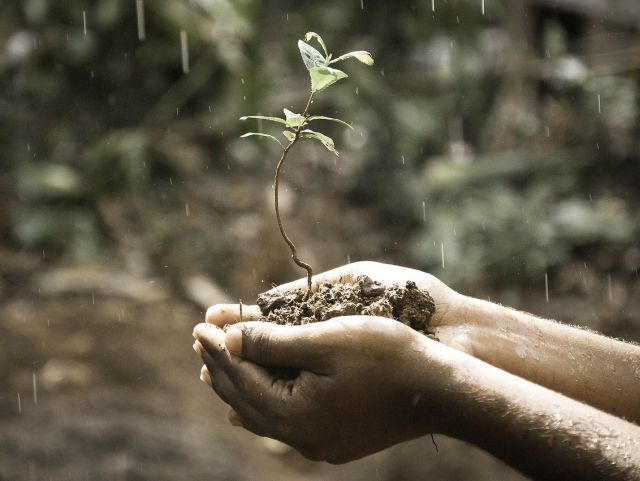 Leia mais sobre o artigo Chuva deve retornar a Santa Catarina em dezembro