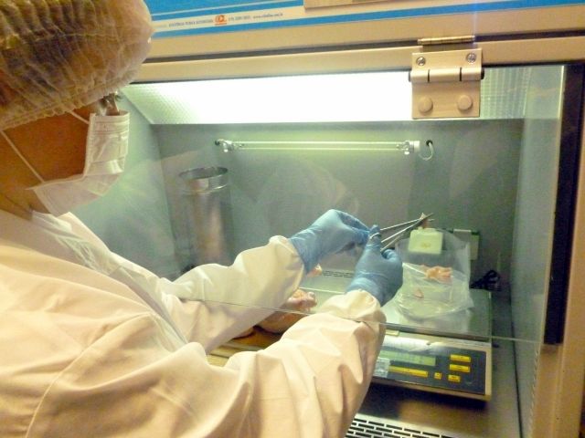 Leia mais sobre o artigo Agricultores familiares do Sul Catarinense têm subsídios do Sebrae para realização de ensaios de qualidade em alimentos