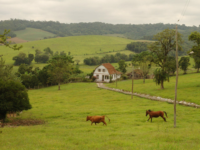 Leia mais sobre o artigo Epagri completa 29 anos fomentando desenvolvimento sustentável nos meios rural e pesqueiro