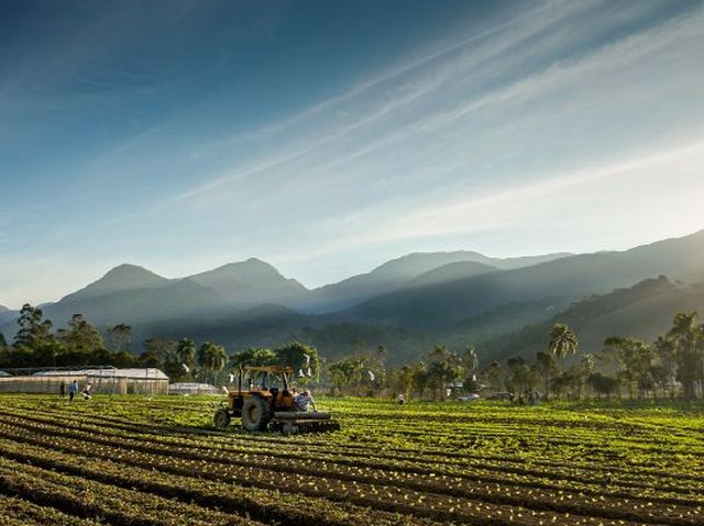 Leia mais sobre o artigo Santa Catarina terá Observatório do Agronegócio