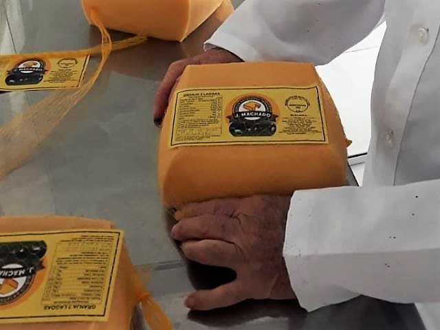 Leia mais sobre o artigo Tradicional queijaria de Capão Alto recebe o Selo de Inspeção Municipal