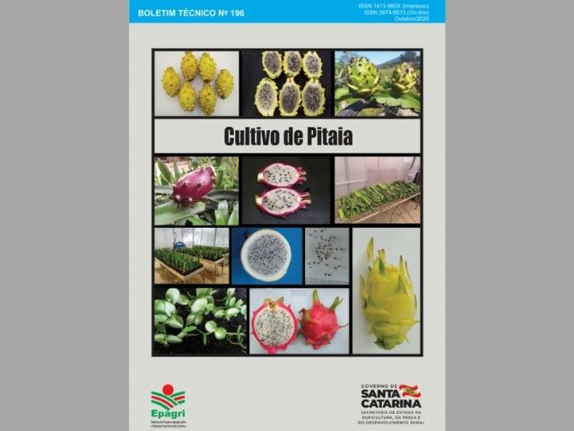 Read more about the article Epagri lança publicação técnica sobre cultivo de pitaia