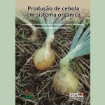Epagri publica cartilha sobre produção de cebola em sistema orgânico