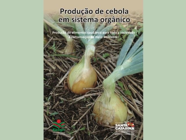 Leia mais sobre o artigo Epagri publica cartilha sobre produção de cebola em sistema orgânico