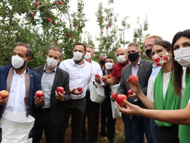 Leia mais sobre o artigo Safra catarinense de maçã espera colher metade da produção nacional