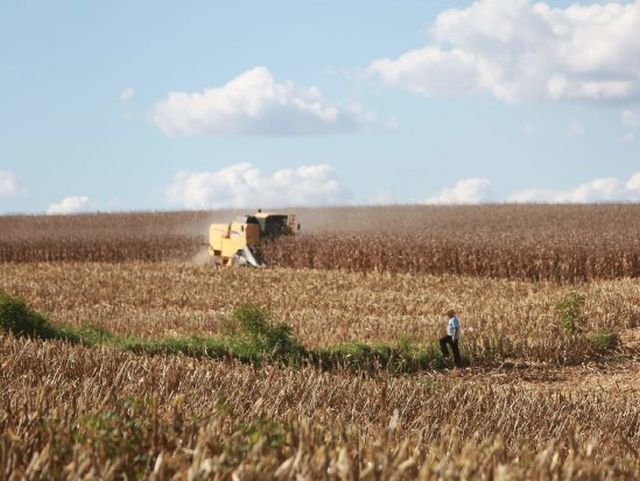 Leia mais sobre o artigo Agricultura inicia distribuição de calcário para aumentar a produtividade das lavouras