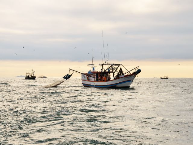 Leia mais sobre o artigo Artigos da revista da Epagri mostram a força que vem do mar catarinense