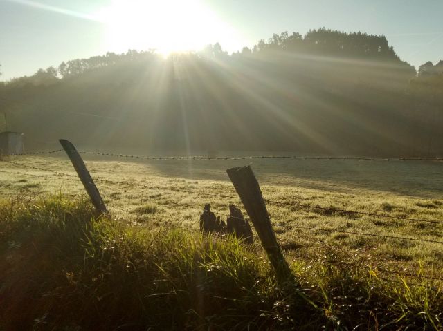 Leia mais sobre o artigo Chuva diminui em março e frio deve chegar mais cedo em Santa Catarina