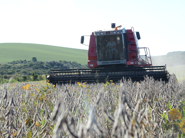 Leia mais sobre o artigo Impacto do Valor da Produção Agropecuária catarinense tem reflexo na arrecadação de impostos e geração de empregos