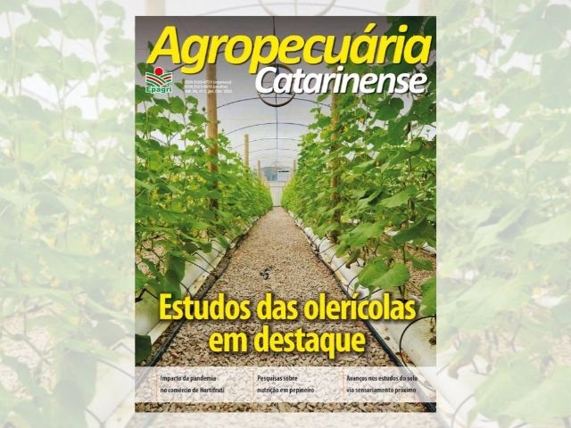 Read more about the article Estudos com hortaliças e agricultura 4.0 são destaques na revista científica da Epagri