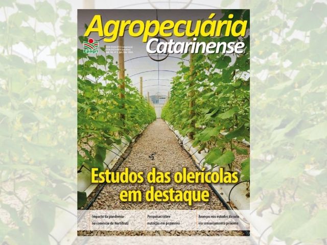 Leia mais sobre o artigo Estudos com hortaliças e agricultura 4.0 são destaques na revista científica da Epagri