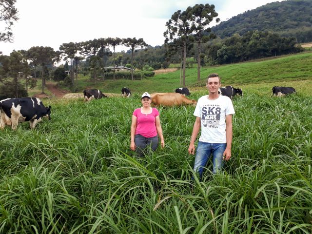 Leia mais sobre o artigo Pastagens perenes impulsionam a pecuária rentável em Santa Catarina