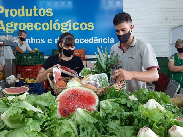 Read more about the article Agricultores catarinenses inovam e ganham mercado na pandemia da Covid-19