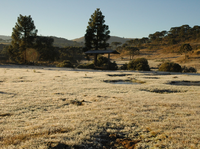 Leia mais sobre o artigo Inverno será seco e frio em Santa Catarina