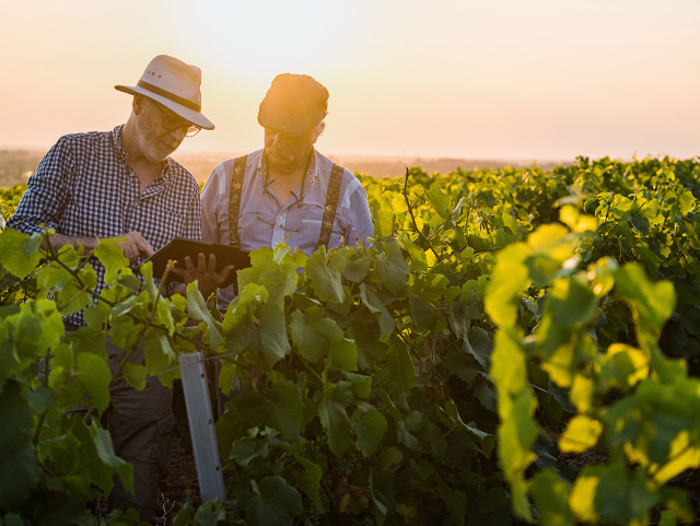 Leia mais sobre o artigo Epagri e CIASC fecham parceria de pesquisa e inovação para agricultura