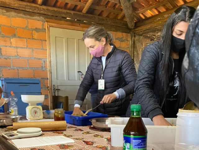 Leia mais sobre o artigo Epagri orienta sobre manejo de apiários no inverno: veja como preparar o bife proteico