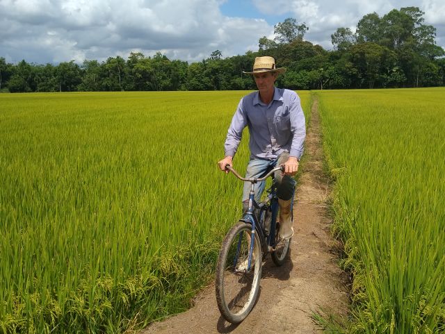 Read more about the article Taipas reforçadas fazem o caminho para a rizicultura sustentável em SC