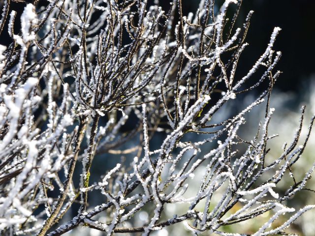 Leia mais sobre o artigo Inverno começa hoje: previsão para SC é de temperaturas abaixo da média