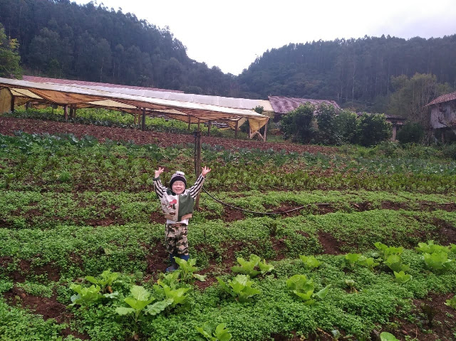 Leia mais sobre o artigo 28 de julho, dia do agricultor: conheça histórias de superação apoiadas pela Epagri