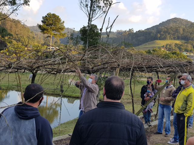 Leia mais sobre o artigo Epagri capacita produtores de uva em Pedras Grandes