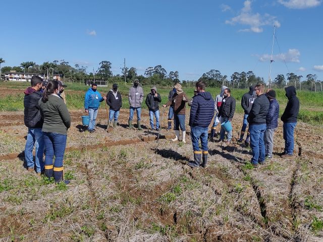 Leia mais sobre o artigo Curso aborda as mais recentes tecnologias e pesquisas científicas destinadas à produção de arroz irrigado