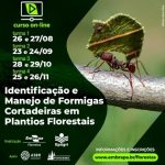 Curso orienta sobre identificação e manejo de formigas cortadeiras em plantios florestais