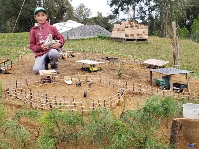 Read more about the article Infância no interior: com criatividade, garoto constrói mini fazenda na propriedade da família