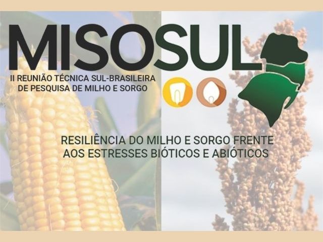 Read more about the article Inscrições abertas para reunião técnica sobre pesquisa de milho e sorgo no Sul do País