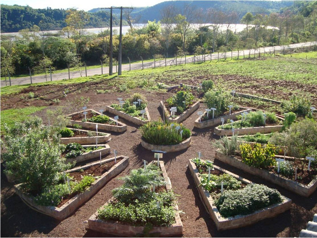 Leia mais sobre o artigo Epagri participa da Jornada de Plantas Medicinais na sexta-feira, 17