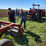 Epagri e agricultores testam “plantio no verde” em propriedade rural de Descanso