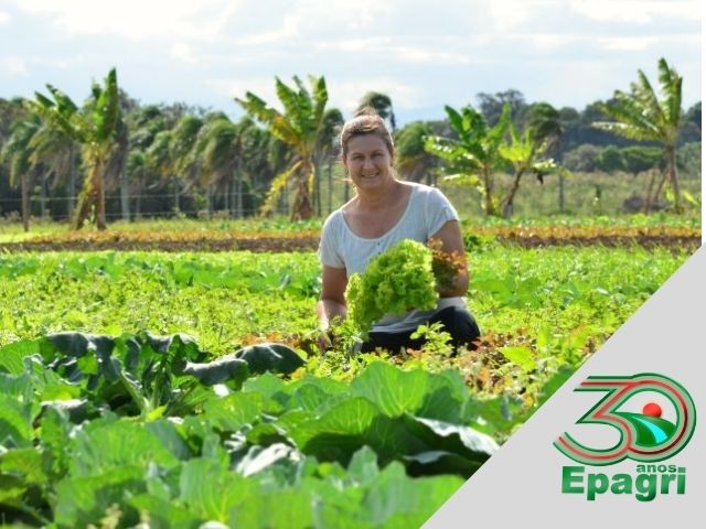 Read more about the article EPAGRI 30 ANOS: Entregamos R$6,92 para cada real investido na Empresa
