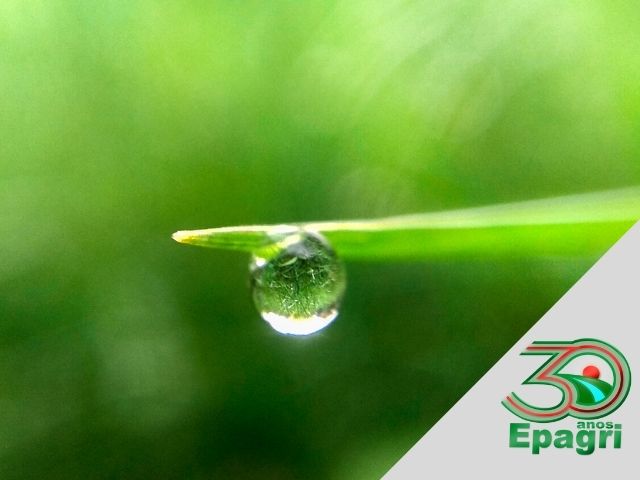Read more about the article EPAGRI 30 ANOS: Oferecemos soluções para preservar a água
