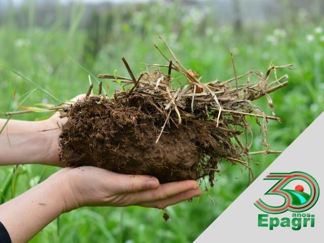 Read more about the article EPAGRI 30 ANOS: Ensinamos a produzir preservando o solo