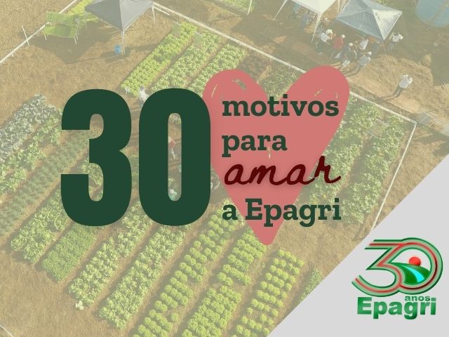 Leia mais sobre o artigo EPAGRI 30 ANOS: 30 motivos para amar a Empresa que semeia tecnologia e inovação em SC